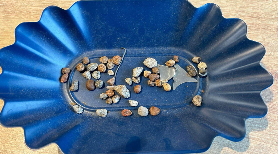 Coffee Destoner Machine