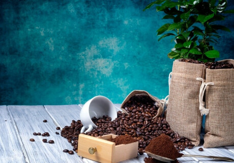 Why Coffee Traceability Matters: Building Transparency and Trust in the Specialty Market
