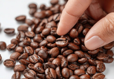 5 Red Flags: How to Spot a Bad Second-Hand Coffee Roaster Before You Buy