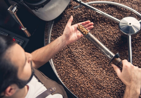 The Roaster's Handbook: Must-Read Coffee Books That Define the Industry