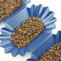 Rhino Bean Trays (12-pack)