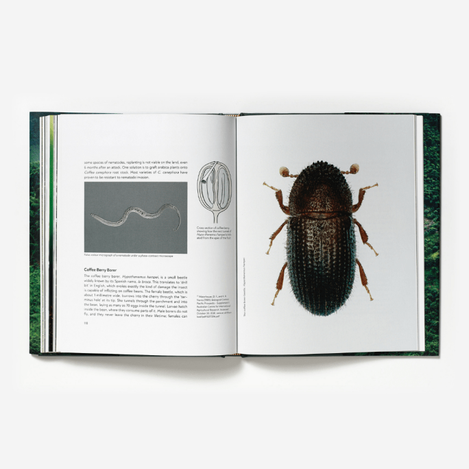 Terroir: Coffee from Seed to Harvest - Barista Hustle #4