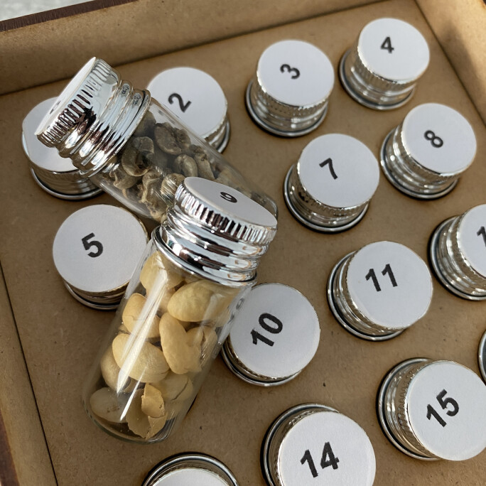 Arabica Green Coffee Defect Kit #5