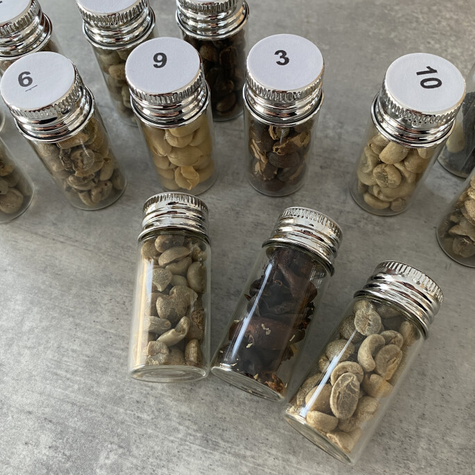 Arabica Green Coffee Defect Kit #3