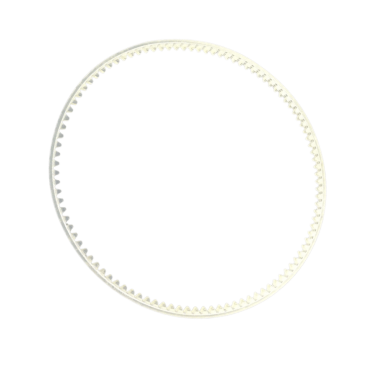 Toothed belt for F1000