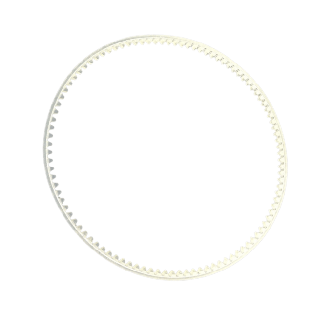 Toothed belt for F1000 #1